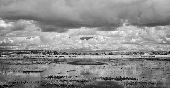 View over Wetlands, Homeland of the Yamhill Kalapuya
