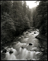 Ohanapecosh River, Mt. Rainier, Washington