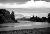 Steamboat Slough, Along the Lower Columbia River
