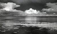 Incoming Tide, Willapa Bay