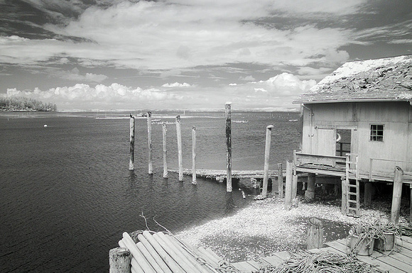 Nahcatta Docks, Willapa Bay