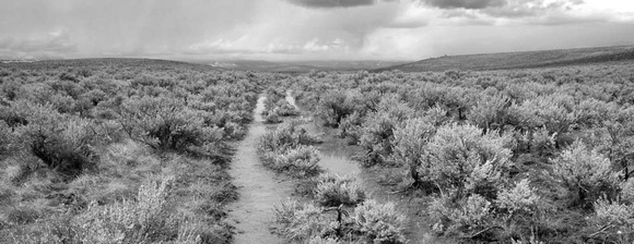 Oregon Trail Wagon Ruts, Flagstaff Hill