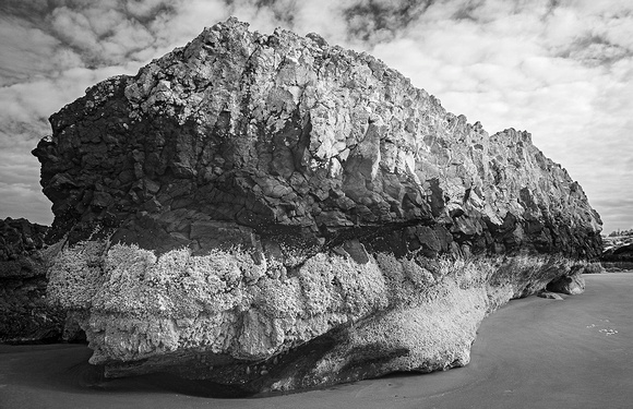 Sea Monster Rock, Quail Street Beach