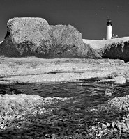 Tidepools at Yaquina Head
