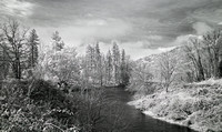 Mouth of Evans Creek on the Rogue