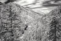 Illinois River from Kirby Flat