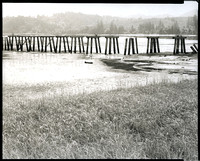 Trestle, Along the Lower Yaquina